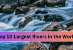 Top 10 Largest Rivers (1)